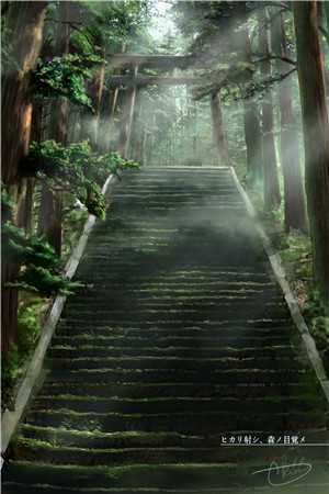 爸妈给堂弟买房，我果断分家完结文