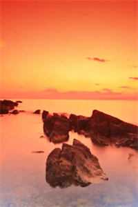 成为王府侍妾后，她一心生崽养娃广告+结局