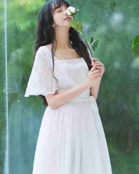 雾尘玫瑰小说大结局