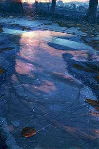 苍山旧雪负余生小说全文免费阅读