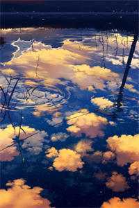 孤雁不渡万重山小说